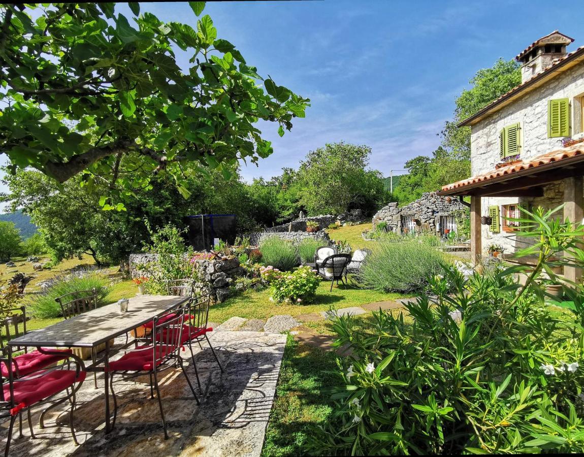 Villa Mavrici, Neighbors Free Buzet Luaran gambar